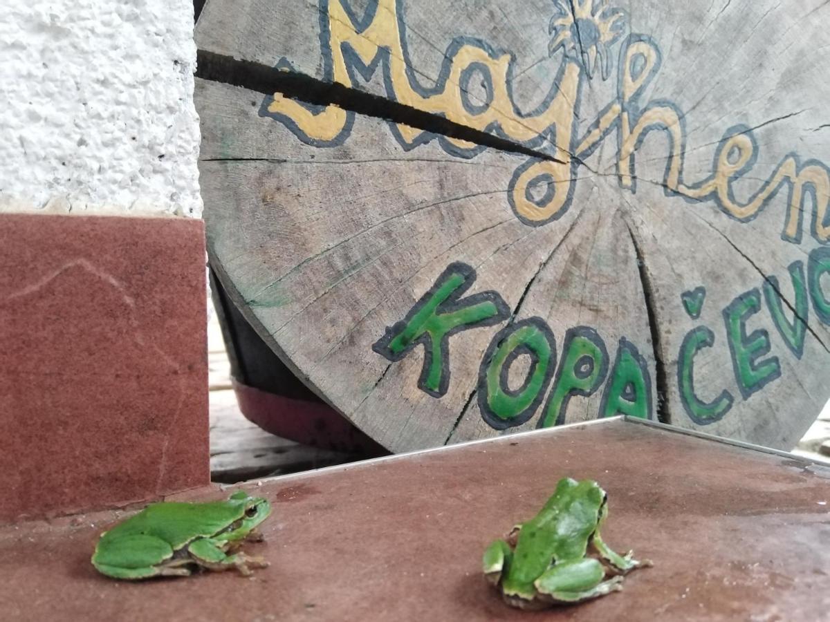 B&B Majhen Kopacevo 外观 照片