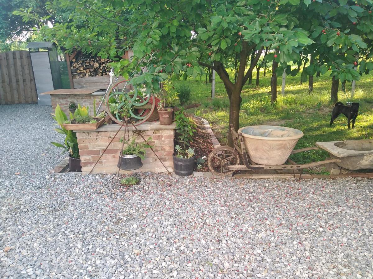 B&B Majhen Kopacevo 外观 照片