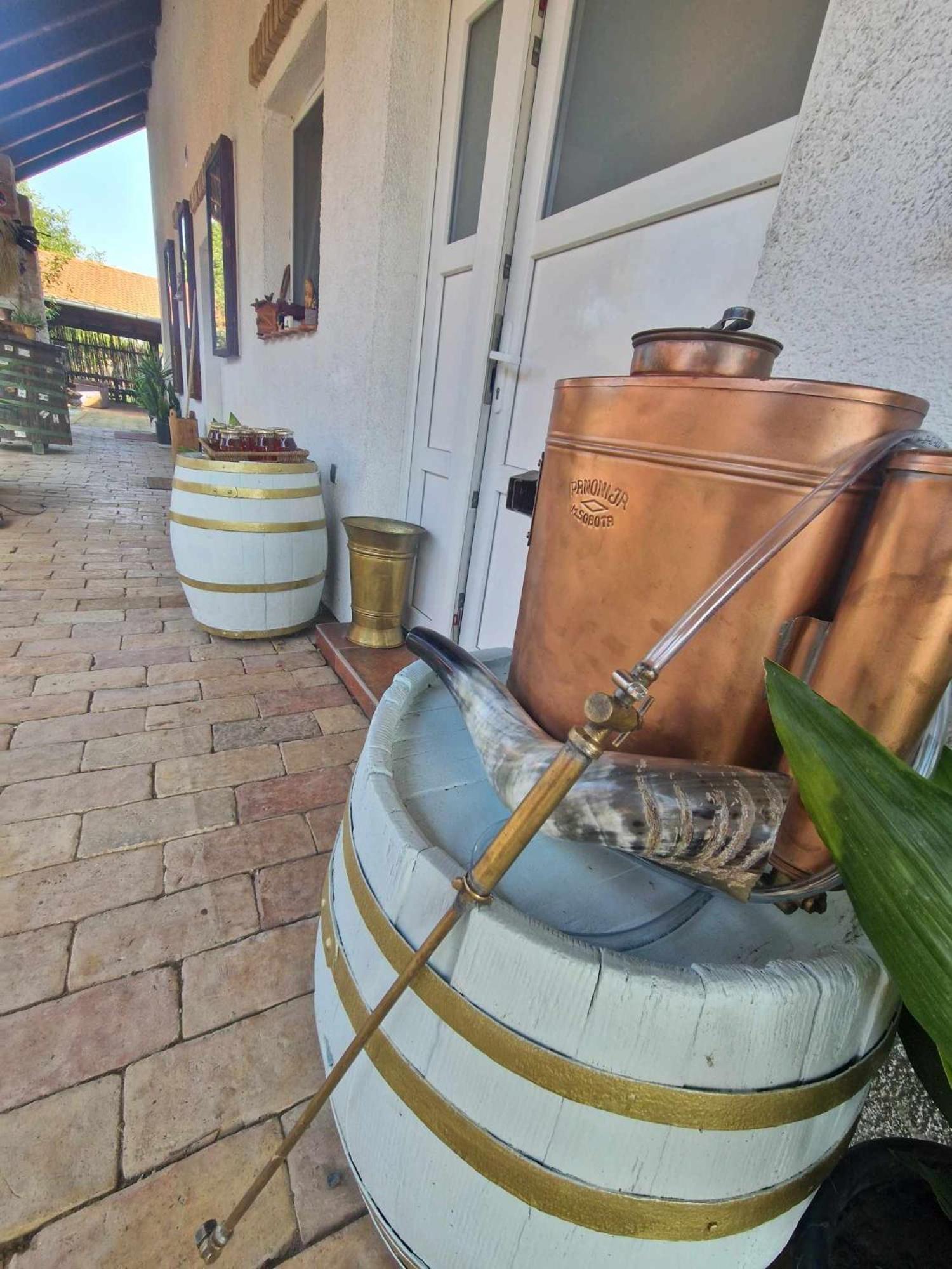 B&B Majhen Kopacevo 外观 照片