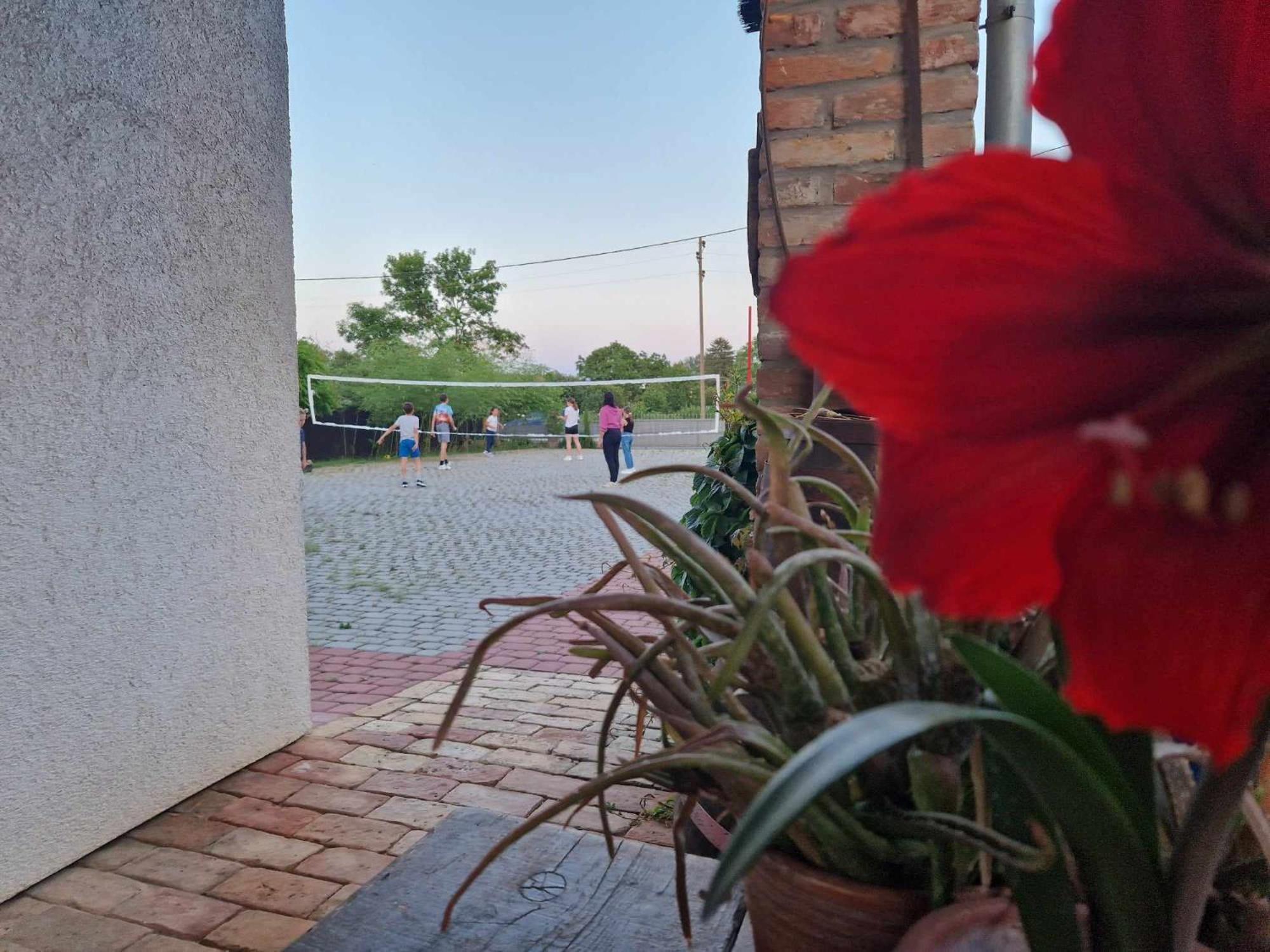 B&B Majhen Kopacevo 外观 照片