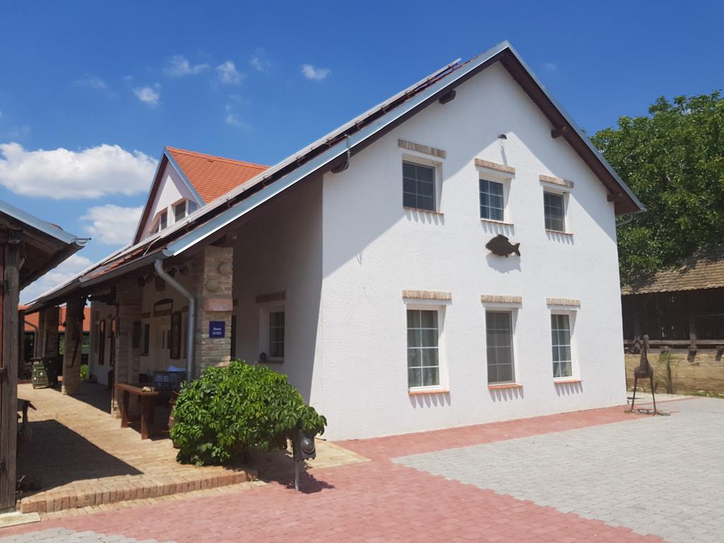 B&B Majhen Kopacevo 外观 照片